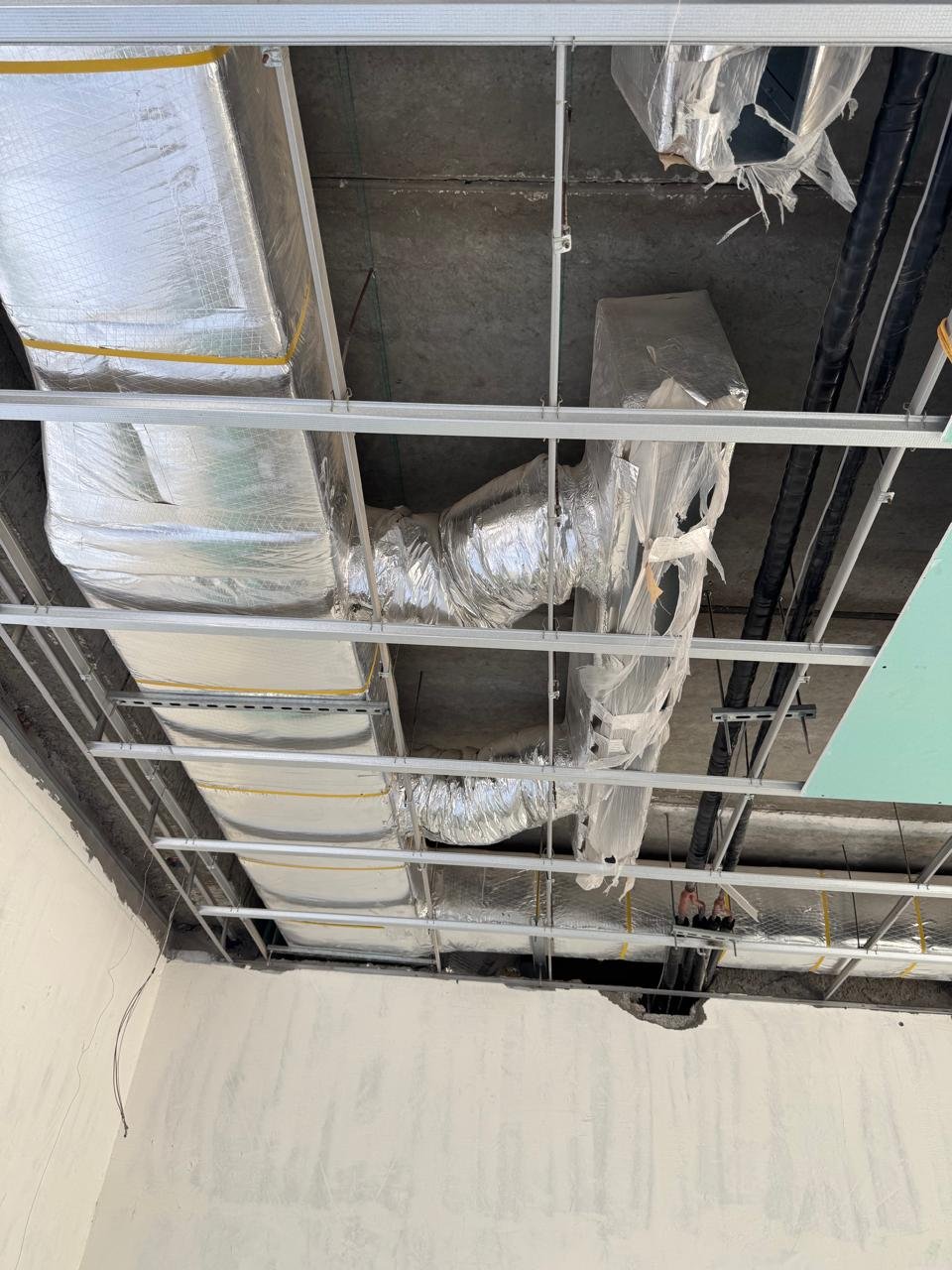 WhatsApp Image 2025-10-09 at 10.05.29 AM (1)