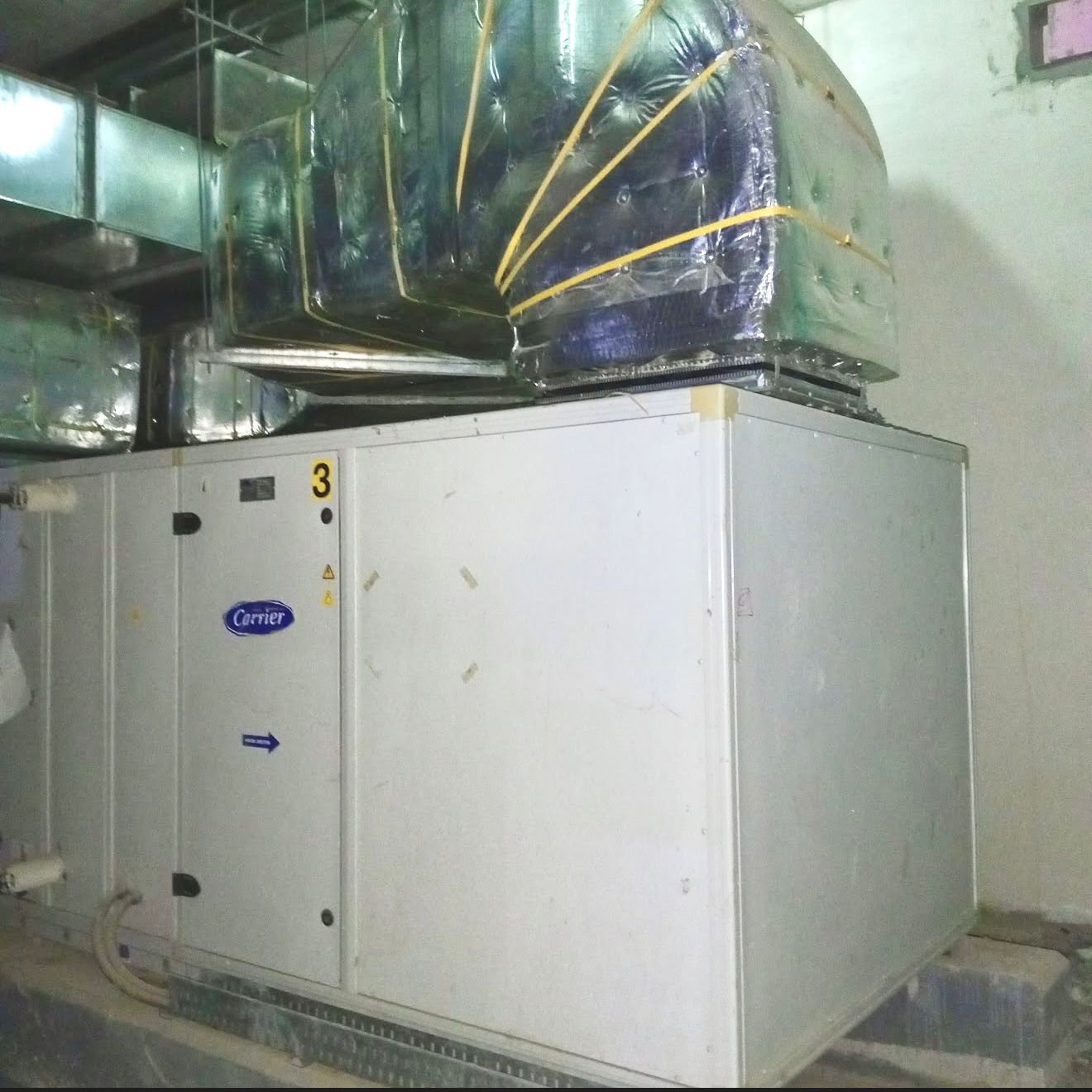 WhatsApp Image 2025-10-09 at 10.05.30 AM