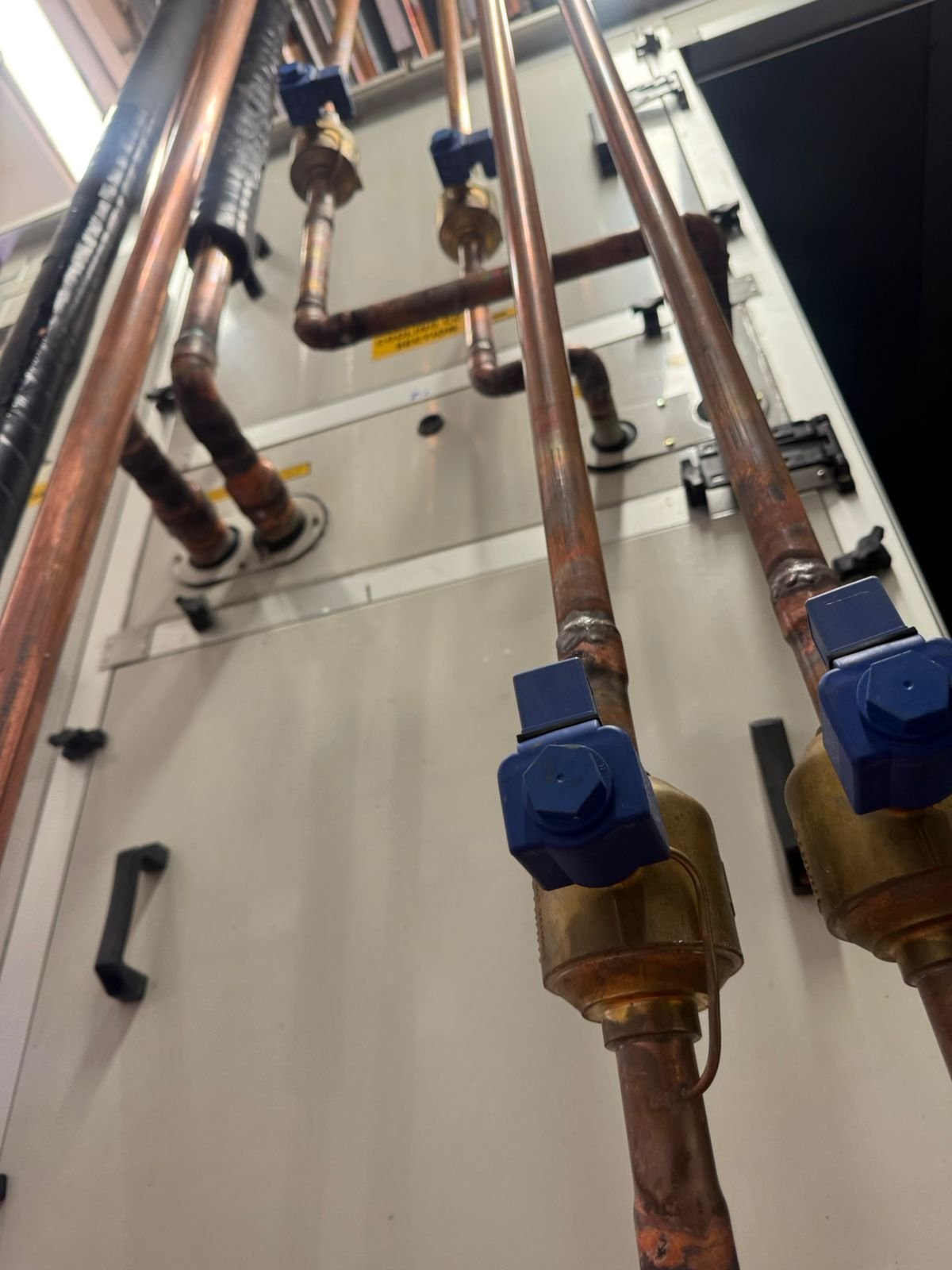 WhatsApp Image 2025-10-09 at 10.05.36 AM (2)