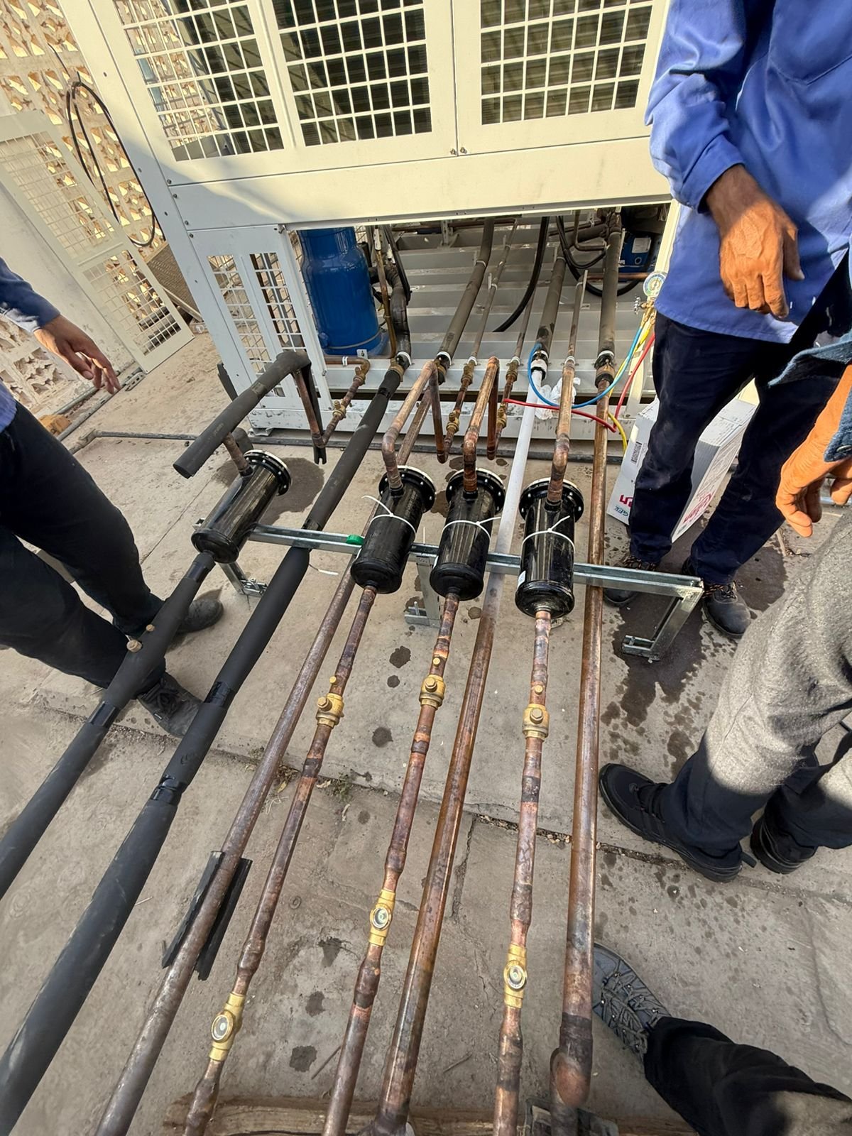 WhatsApp Image 2025-10-09 at 10.05.37 AM (1)